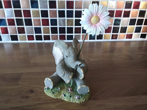 Tuskers forever blooming for - blooming,