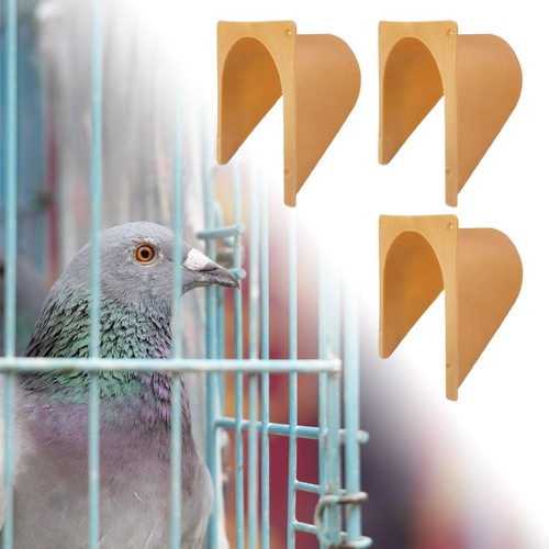 Homing pigeon house - pigeon, door