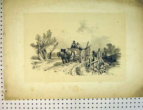 Original old antique print - original,