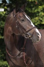 Stubben Snaffle Bridle 2300