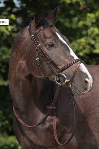 Stubben snaffle bridle - stubben,