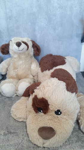 Asda floppy dog - floppy,