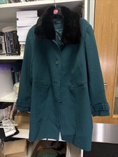 Evan’s Teal Smart Coat Fur