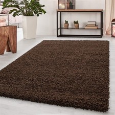 Thick Large Shaggy Rugs Non