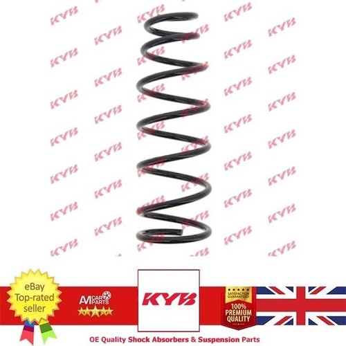 Rear suspension spring - suspension, for