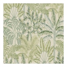 Superfresco Easy Intrigue