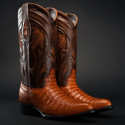Genuine exotic alligator - exotic,