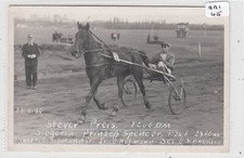HORSE  Racing  A Harness