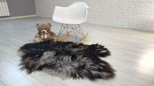 Giant icelandic curly - giant,