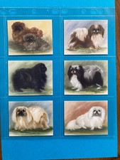 PEKINGESE ORIGINAL SET OF SIX