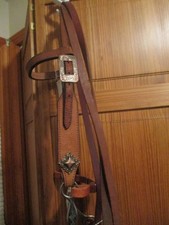 New Pony Roughout Western