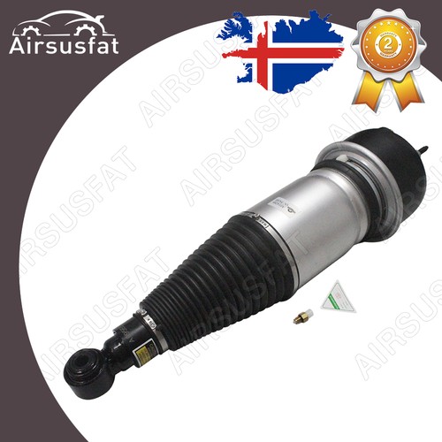 Rear air suspension shock - suspension,