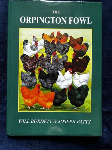 The orpington fowl will - orpington,