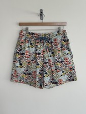 Vilebrequin Turtle Swimming