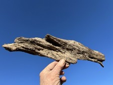 33cm WEATHERED CHARACTER DRIFTWOOD Sea Fairy Garden Air Plant Display Florist