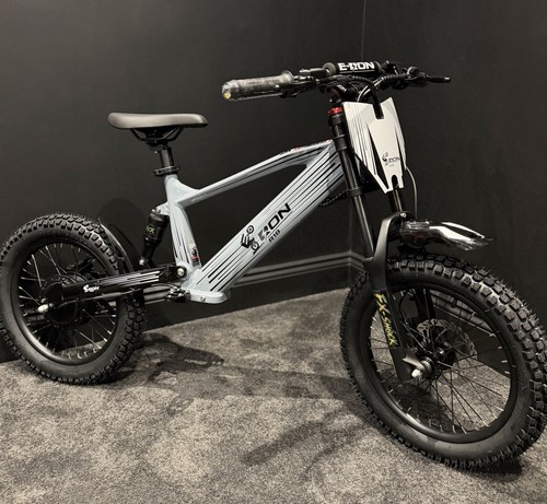 Ron the all new - e-ron, 20”