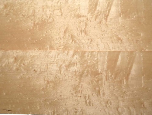 Shell maple veneer quilted - maple,