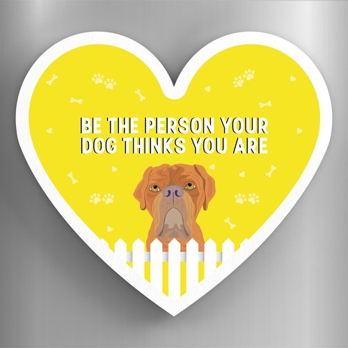 Dogue bordeaux person your - dogue, de