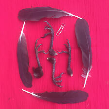 four crows feet craft witchcraft jewellery feathers crow weird altar pagan bones