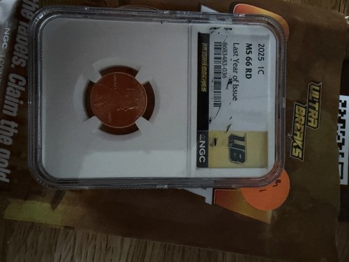 Ms66 golden penny hunt - ms66,