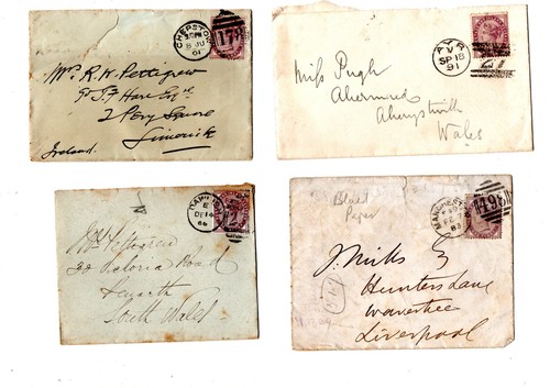 C1895 lilac manchester - qv, 1d