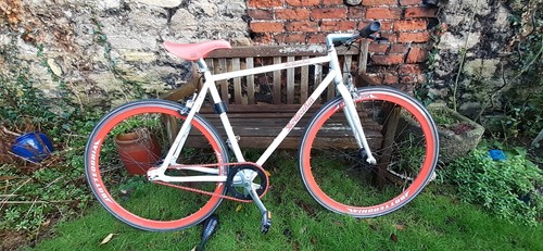 Bottecchia road bike fixed - bottecchia,