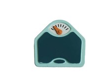 Sylvanian Families Hospital