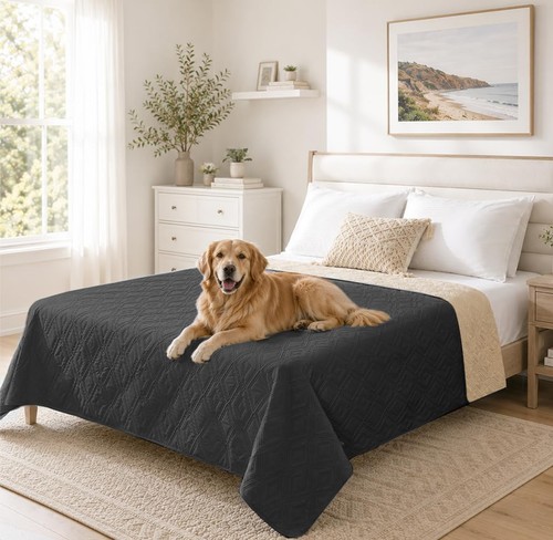 Ymydyfc waterproof sofa - ymydyfc,