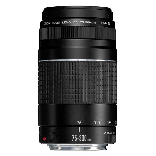 Canon 300mm 5 6 iii - ef, f/4-5.6