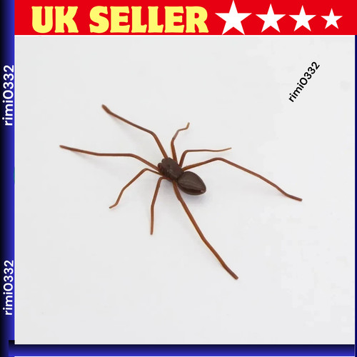 Realistic spider magnet for - realistic,
