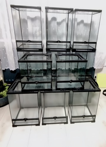 Terrarium vivarium glass swell - glass,