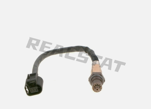 Before cat lambda oxygen - cat,