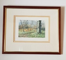 Woodland Scene by Steven
