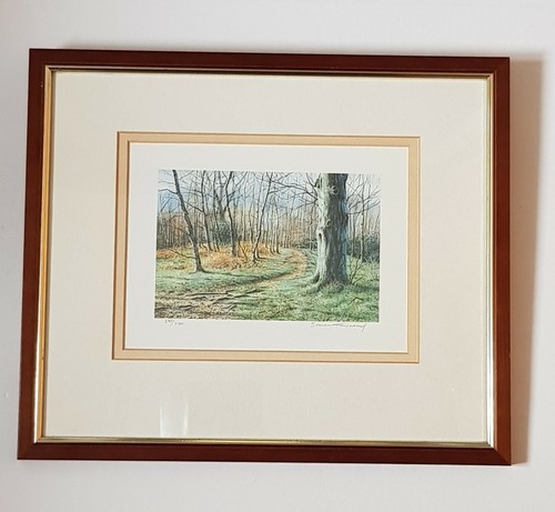 Woodland scene steven - by,