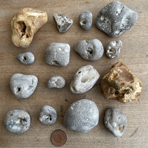 Various size hag stones - various, of
