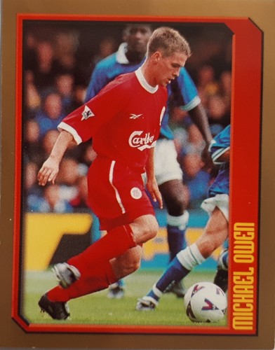 Michael owen merlin premier - michael,
