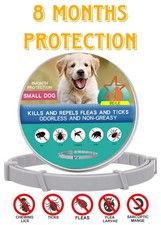 Advanced Adjustable Anti Flea and Tick Collar 8 Months Protection for Dogs Cats