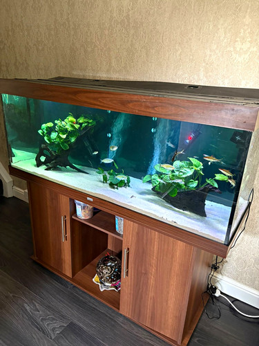 Juwel450l tropical aquarium - juwel450l,