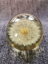 HAFOD GRANGE - Large DANDELION