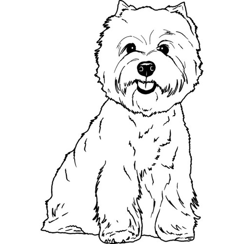 West highland terrier - 'west, terrier'
