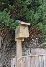 Large Wooden Heavy Duty Bird