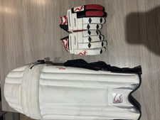 Puma batting leg pads gloves - pads,