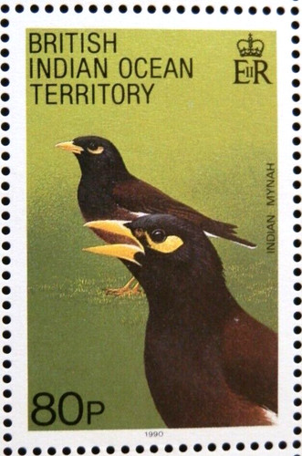 British indian ocean territory - british,