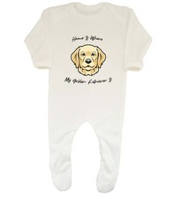 Dog Pet Lover Baby Grow Sleepsuit Home is where my Golden Retriever is Boys Girl