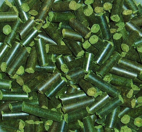 100g spinach sticks - spinach,