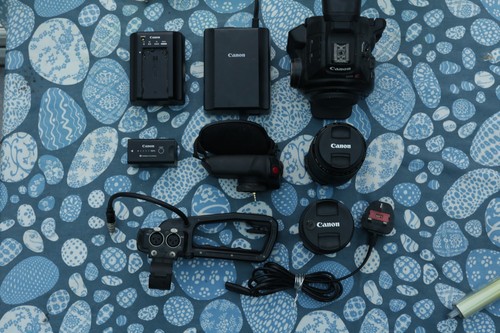 Canon c100 mark - c100, with