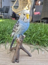 Vivid Arts Blue Budgerigar