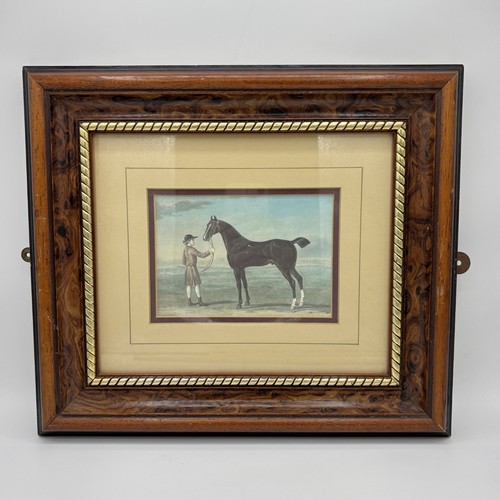 Vintage antique burl wood - vintage,