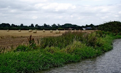 Photo 6x4 crop fields - photo,