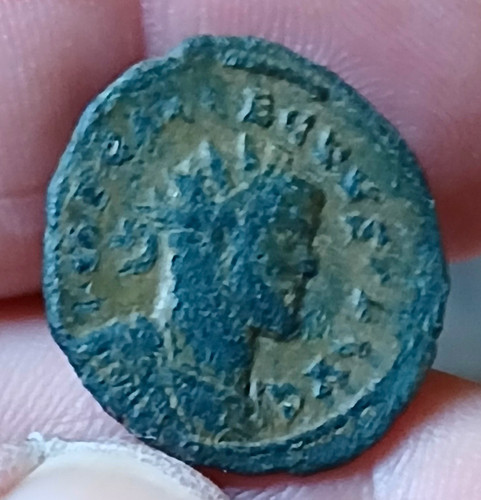 Emperor allectus quinarius - ae,